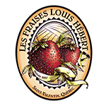 Fraises Louis Hebert Fraises Louis Hebert